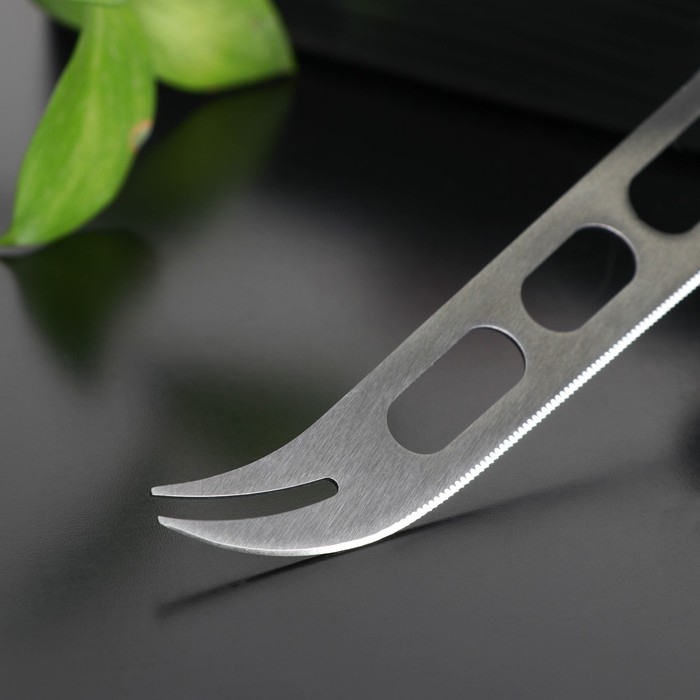 Нож для сыра Доляна Venus, 30×8 см, нержавеющая сталь, цвет чёрный Нож для сыра Доляна Venus, 30×8 см, нержавеющая сталь, цвет чёрный