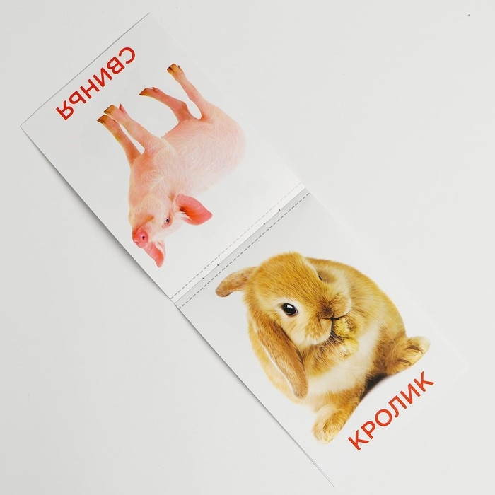 Развивающая игра на липучках «Изучаем мир домашних животных», методика Домана, с обучающими карточками по методике Глена Домана Развивающая игра на липучках «Изучаем мир домашних животных», методика Домана, с обучающими карточками по методике Глена Домана