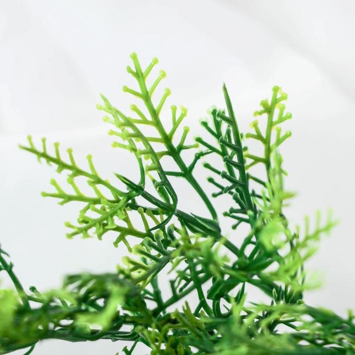 Букет Букет "Туа западная" 32 см