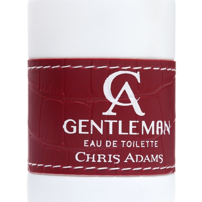 Туалетная вода мужская Chris Adams Ca Gentleman, 100 мл Туалетная вода мужская Chris Adams Ca Gentleman, 100 мл