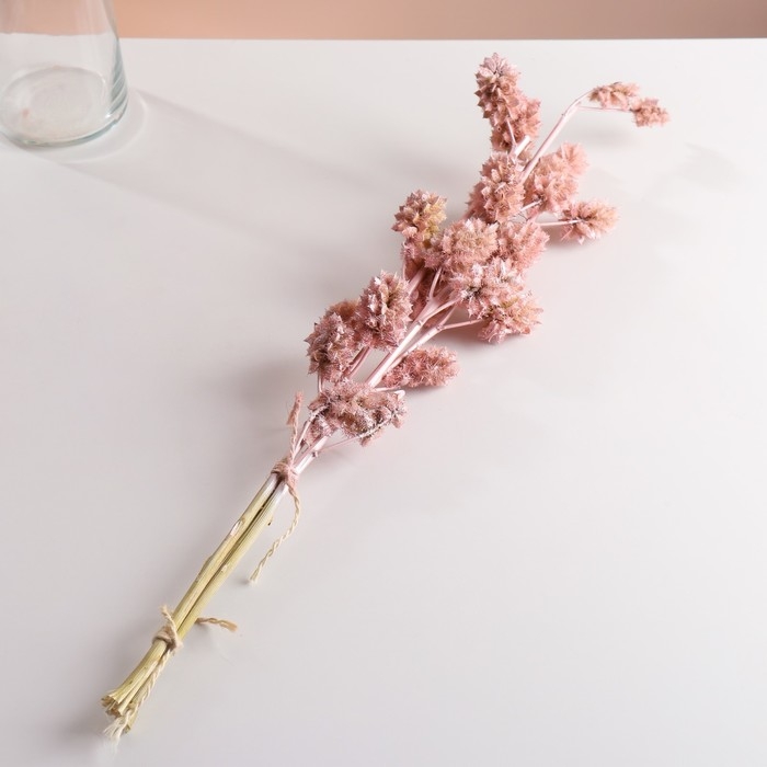 Набор сухоцветов Набор сухоцветов "Солодка", банч 3 шт, длина 60 (+/- 6 см), розовый