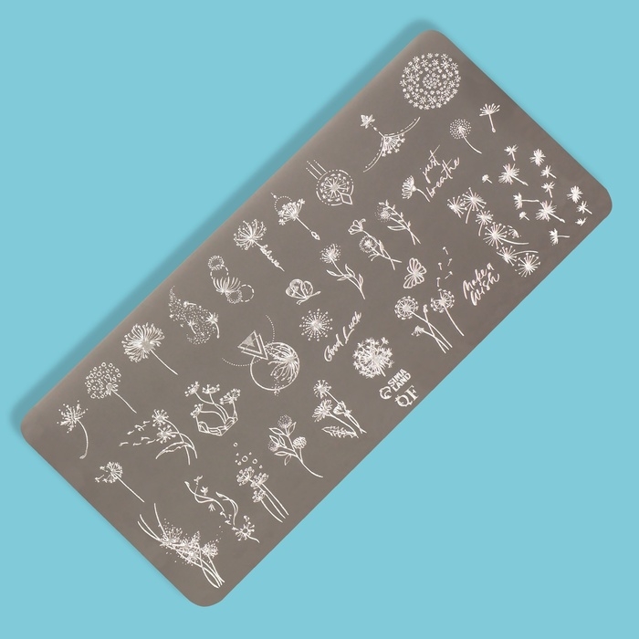 Диск для стемпинга металлический «Одуванчики», 12 × 6 см