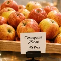 Ценникодержатель на круглой подставке, пластик, 5&times;5&times;3.5 см, чёрный
