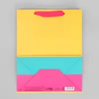 Пакет подарочный трёхцветный, упаковка, &laquo;Жёлтый-розовый-голубой&raquo;, MS 18 х 23 х 10 см