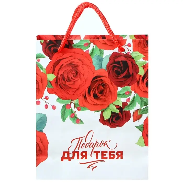 Пакет подарочный &laquo;Подарок для тебя&raquo;,12х15х5.5 см, упаковка, Принцессы