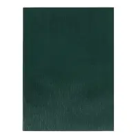 Компл тетр из 2шт А4 96л кл VIGO бумвинил VA0505 (Soft touch) зеленый, офсет (10267972)