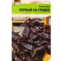 Семена Базилик &laquo;Первый на Грядке&raquo; 0.2 г