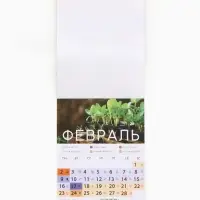 Календарь 2026 отрывной на магните &laquo;Садово-огородный&raquo;, 9.5&times;13 см