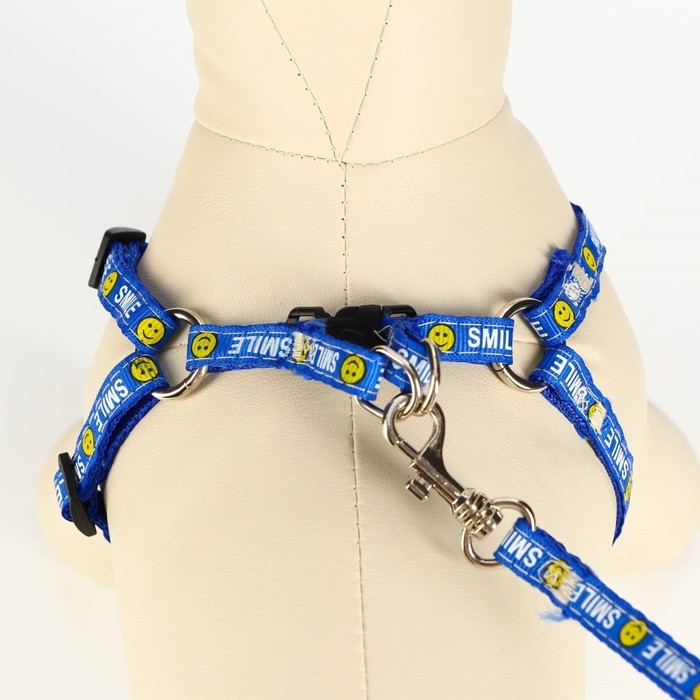 Комплект амуници Комплект амуници "Смайлик", ширина 1 см, поводок 120 см, шлейка 26-38 см, синий