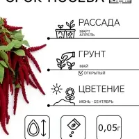Семена цветов Амарант &laquo;Малиновые бусы&raquo;, однолетник, 0.2 г, &laquo;Агрофирма АЭЛИТА&raquo;