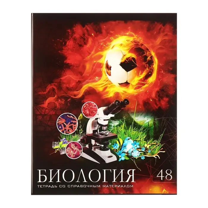 Набор предметных тетрадей Calligrata &laquo;Футбол&raquo;, 10 предметов, 48 листов, со справочным материалом, обложка из мелованного картона, блок офсет
