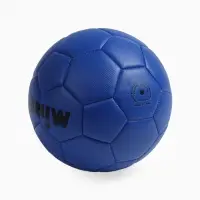 Футбольный мяч MINSA, PVC, машинная сшивка, 32 панели, р.5
