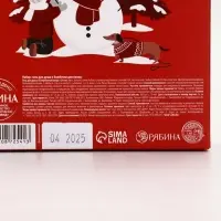 Winter Melody Набор Magical warm winter Гель д/душа, 300 мл и бомбочки для ванны, 4х40 гр,