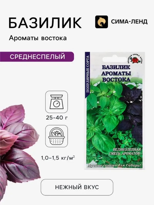 Семена Базилик &laquo;Ароматы Востока&raquo;, смесь, 0.5 г, фиолетовый + зелёный, &laquo;Золотая Сотка Алтая&raquo;