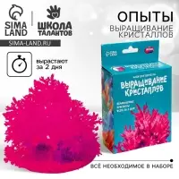 Выращивание кристаллов &laquo;Опыты. Лучистый кристалл&raquo;, цвет малиновый