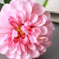 Цветы искусственные "Хризантема Амадея" d-9 см 46 см, розовый Цветы искусственные "Хризантема Амадея" d-9 см 46 см, розовый