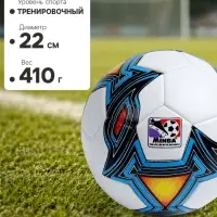 Футбольный мяч MINSA, машинная сшивка, 32 панели, р. 5, TPU