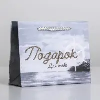 Пакет подарочный ламинированный, упаковка, Present for you, S 15 х 12 х 5.5 cм