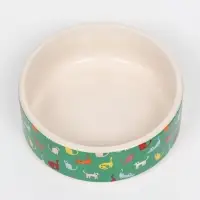 Миска &laquo;Котэ&raquo;, 200 мл, 10.5&times;10.5&times;4 см, керамика, зелёная, белая