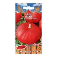 Семена Тыква "Внучка", 7 шт. Семена Тыква "Внучка", 7 шт.