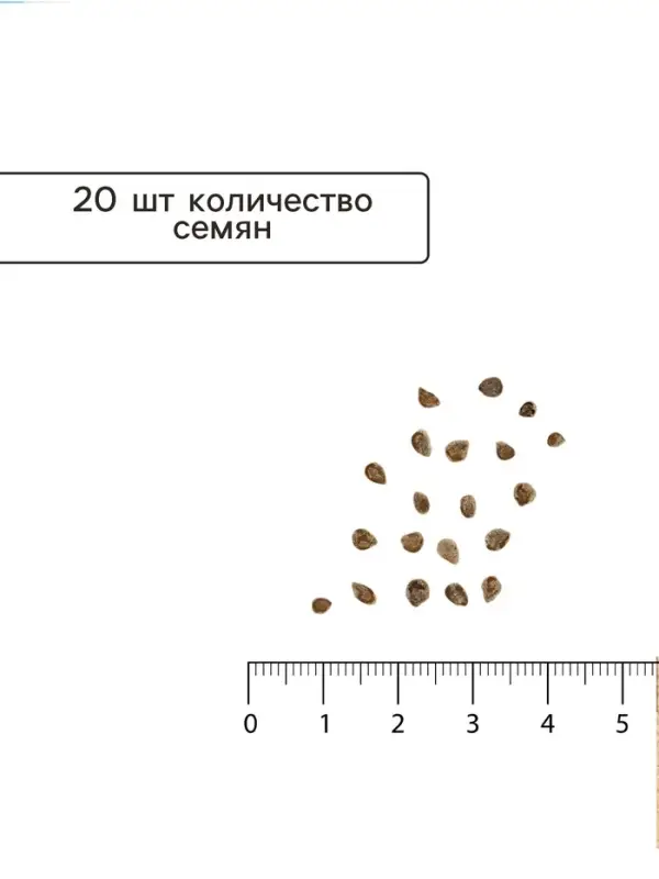 Семена Томат &laquo;Абруццо&raquo;, индетерминантный, высокорослый, 20 шт., &laquo;АЭЛИТА&raquo;