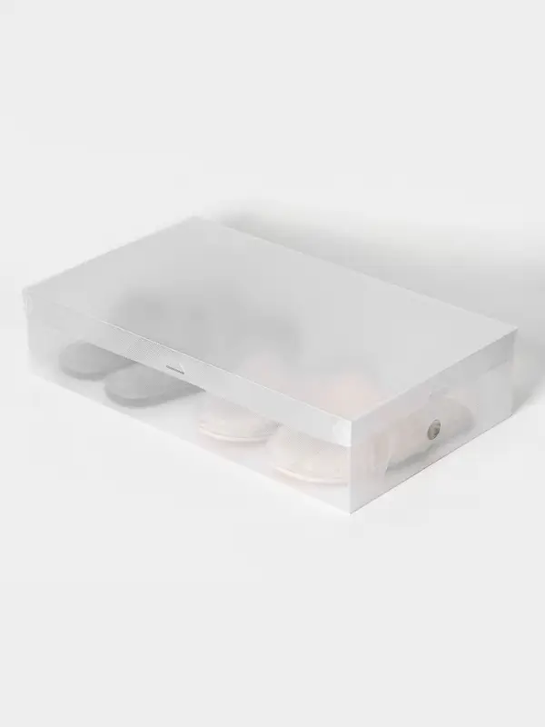 Коробка для хранения сапог с крышкой Uni size, 30&times;52&times;12 см, 2 шт.