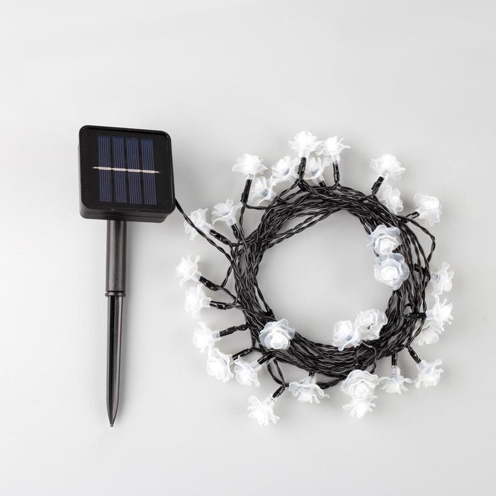 Гирлянда «Нить», 4.5 м, с насадками в виде роз, IP44, 30 LED, 2 режима, солнечная батарея, тёмная нить, свечение красное Гирлянда «Нить», 4.5 м, с насадками в виде роз, IP44, 30 LED, 2 режима, солнечная батарея, тёмная нить, свечение красное