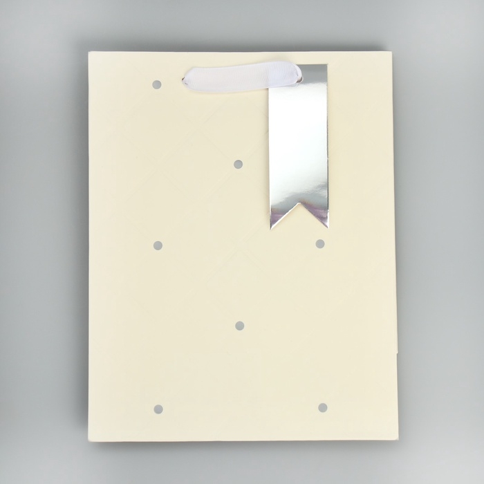 Пакет подарочный, упаковка, &laquo;Белый&raquo;, 23 х 18 х 10 см