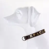 Ошейник &laquo;Красавчик&raquo;, 60&times;2.5 см, однослойный, тиснение фольгой, кожа, цвет МИКС