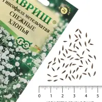Семена цветов Гипсофила &laquo;Снежные хлопья&raquo;, 0.05 г, &laquo;Гавриш&raquo;