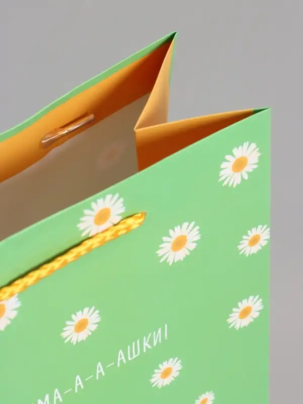 Пакет подарочный "Ромашки - обнимашки" ламинированный 18 х 22,3 х 10 см