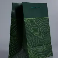 Пакет подарочный "Сдержанный шарм" ламинированный 18 х 22,3 х 10 см