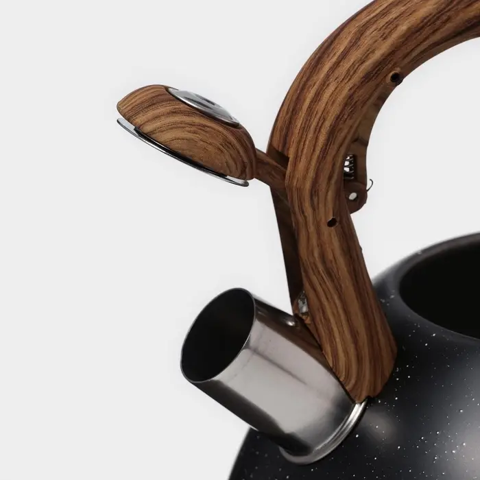 Чайник Magistro Stone, 2.7 л, со свистком, ручка софт тач, индукция, нержавеющая сталь, чёрный