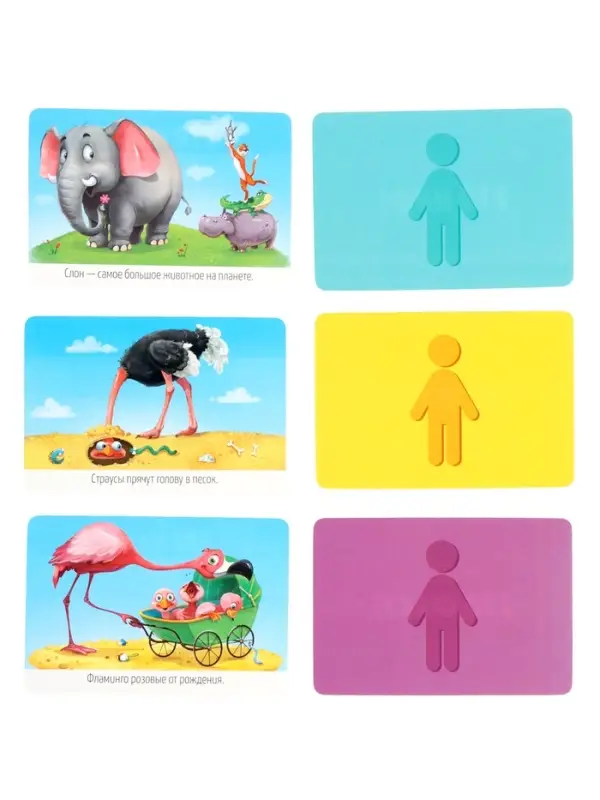 Большой подарок выпускнику детского сада. 7в1.