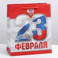 Пакет подарочный ламинированный, упаковка, &laquo;23 февраля!&raquo;, ML 23&times;27&times;11.5 см