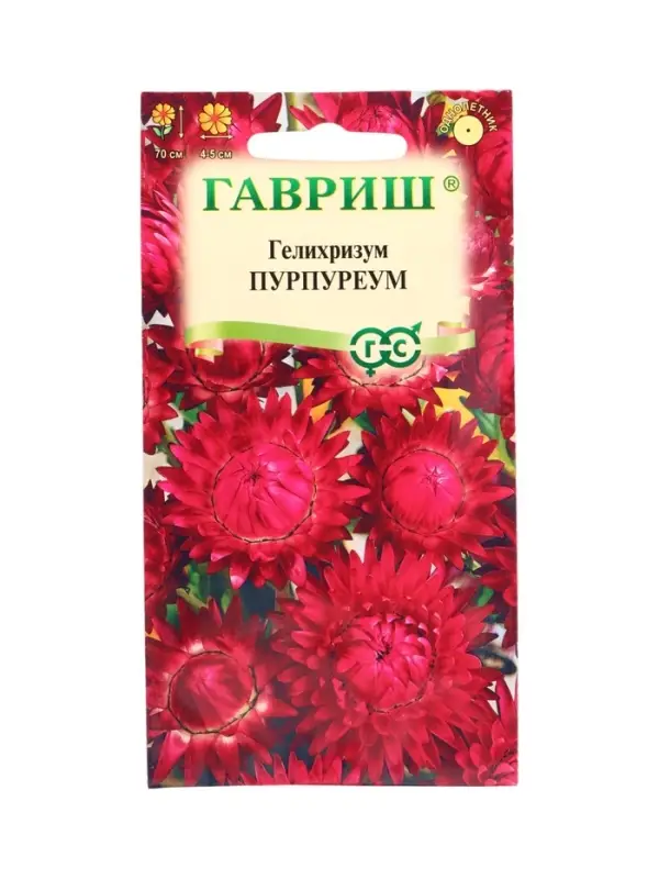 Семена цветов Гелихризум Пурпуреум* 0,1 г