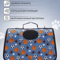 Сумка - переноска для животных &laquo;Спорт&raquo;, размер M, 40&times;21&times;27 см, голубая