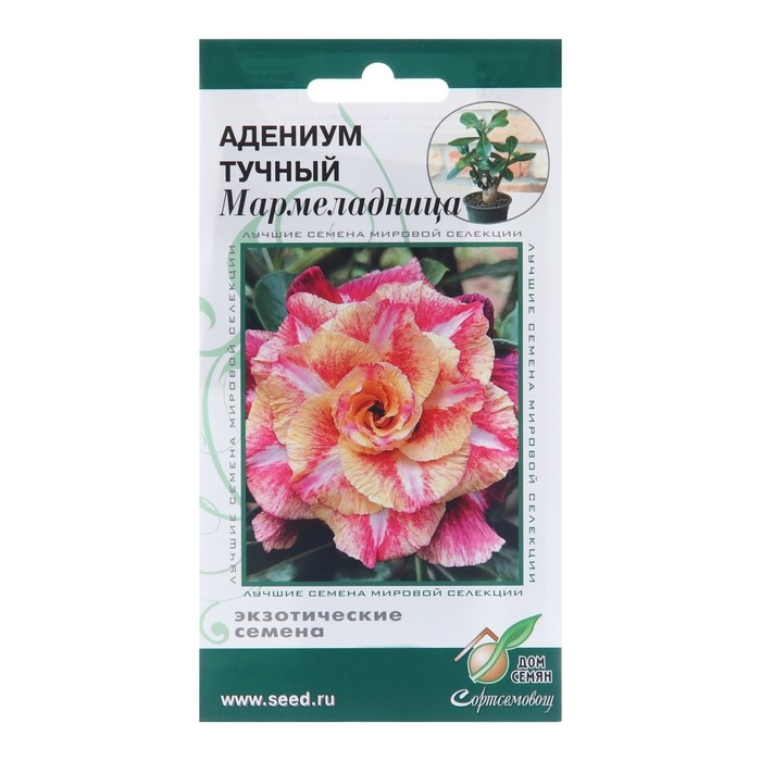 Семена цветов Адениум тучный  Семена цветов Адениум тучный "Мармеладница", 3 шт