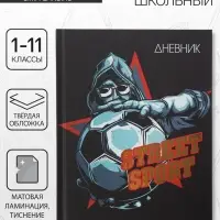 Дневник школьный для 1-11 классов, Street Sport, твёрдая обложка 7БЦ, матовая ламинация, тиснение фольгой, 40 листов