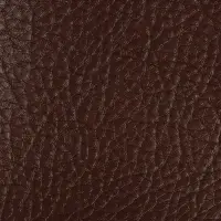 Заплатка клеевая из кожзаменителя, 10&times;20 см, тёмно-коричневая