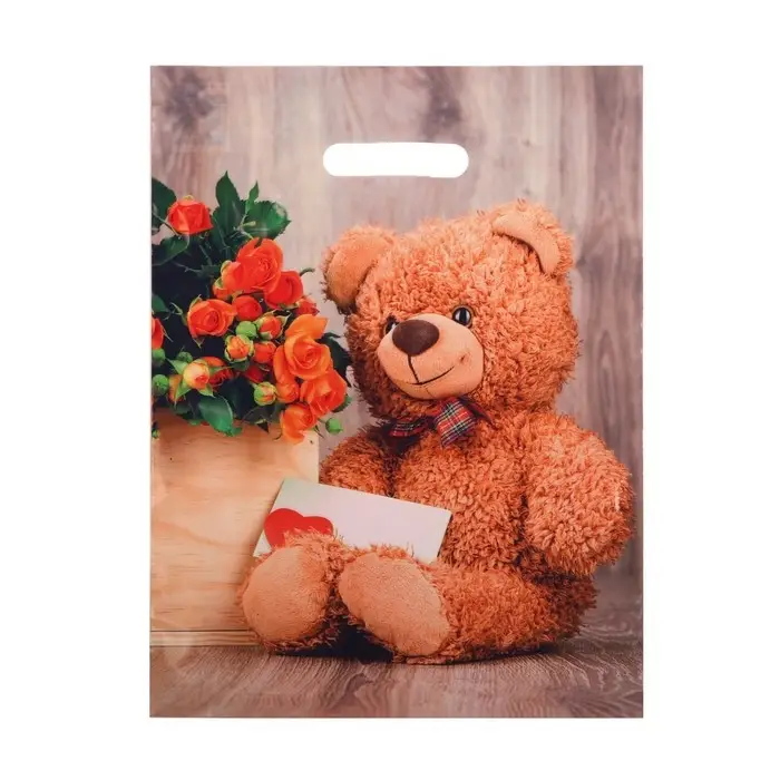 Пакет «Тедди», полиэтиленовый с вырубной ручкой 31×40 см, 60 мкм Пакет «Тедди», полиэтиленовый с вырубной ручкой 31×40 см, 60 мкм