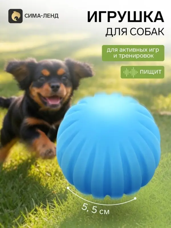 Игрушка для собак с пищалкой &laquo;Мячик&raquo;, 5.5 см, голубая