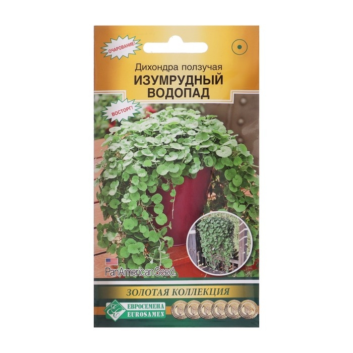 Семена цветов Дихондра ползучая  Семена цветов Дихондра ползучая "Изумрудный Водопад", драже, 3 шт