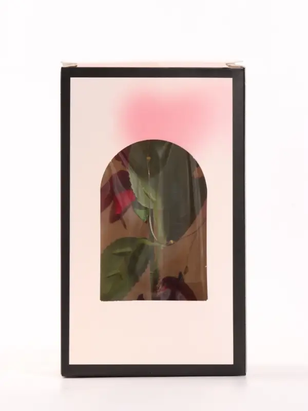 Фигурка с подсветкой &laquo;Роза в колбе&raquo; 8.5&times;8.5&times;15 см, 2хAG13, NL780