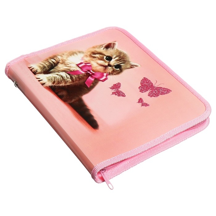 Папка для тетрадей А5, 180 х 230 х 25 мм, молния вокруг, пластиковая 0.5, ПМ-А5-04 Calligrata Папка для тетрадей А5, 180 х 230 х 25 мм, молния вокруг, пластиковая 0.5, ПМ-А5-04 Calligrata