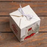 Коробка складная, подарочная новогодняя «Домашний уют» 10×10×10 см