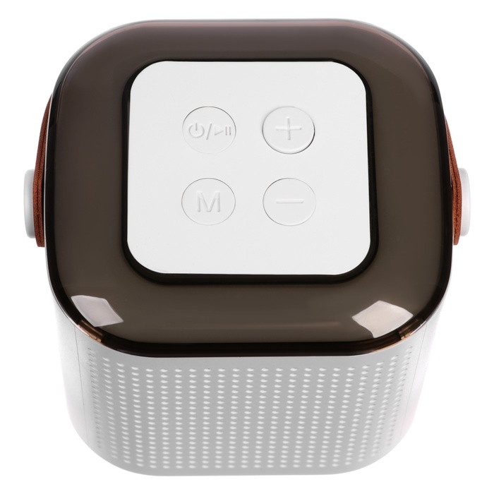 Мини караоке-система Y1, 5 Вт, микрофон, 800/400мАч, Jack 3.5, Type-С, RGB, белая Мини караоке-система Y1, 5 Вт, микрофон, 800/400мАч, Jack 3.5, Type-С, RGB, белая