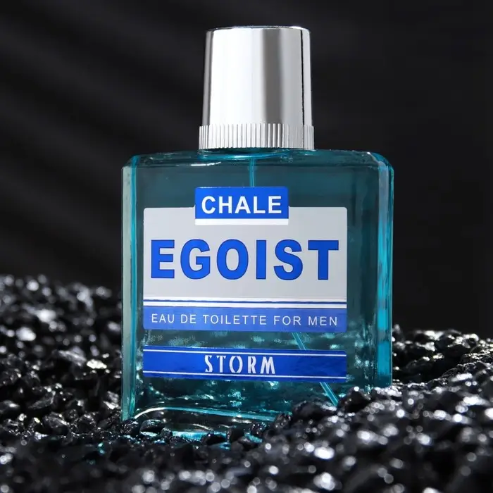 Туалетная вода мужская CHALE EGOIST STORM, 90 мл