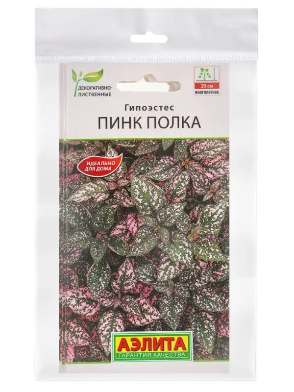 Набор семян Гипоэстес &laquo;Пинк Полка&raquo;, 5 шт.