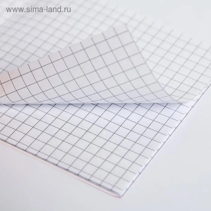 Блокнот 10&times;10, 16 листов в клетку &laquo;Авокадо&raquo;